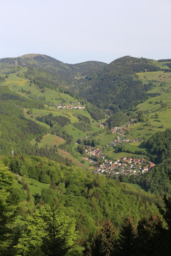 Hotel Kirchbuehl Im Schwarzwald Hotel Schönau im Schwarzwald Zewnętrze zdjęcie